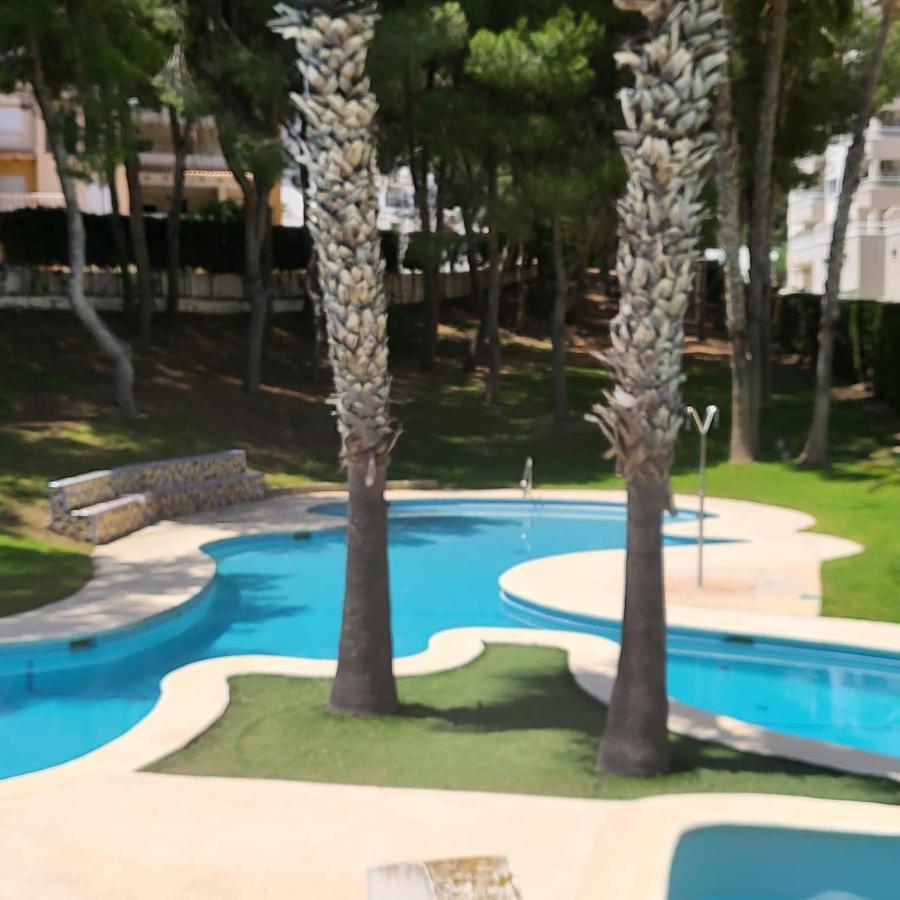 Apartamento Ines, Dehesa De Campoamor,900M From The Sea , Swimming Pool & Tennis Court エクステリア 写真