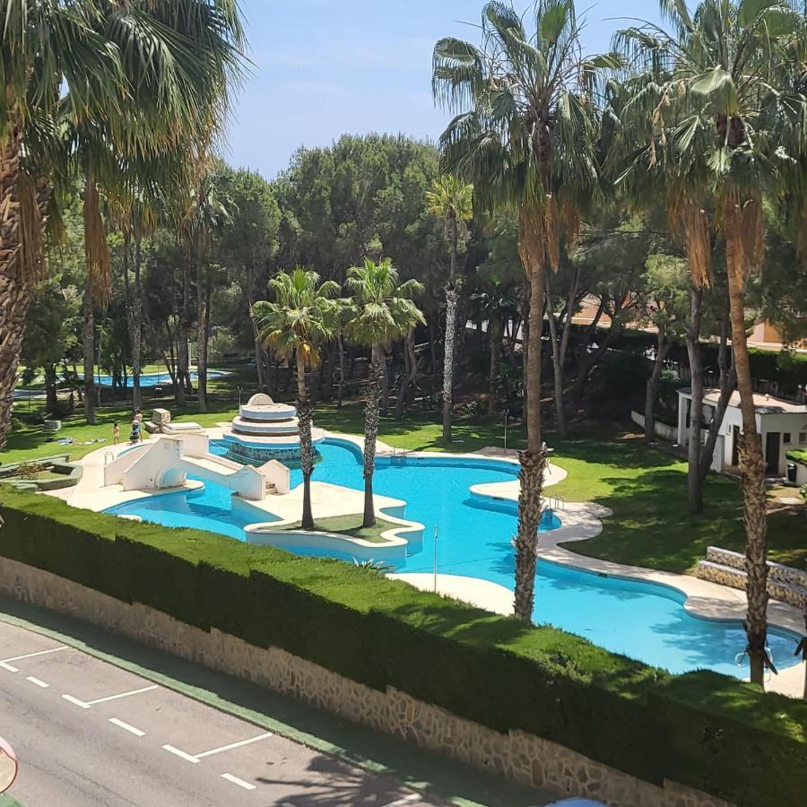 Apartamento Ines, Dehesa De Campoamor,900M From The Sea , Swimming Pool & Tennis Court エクステリア 写真